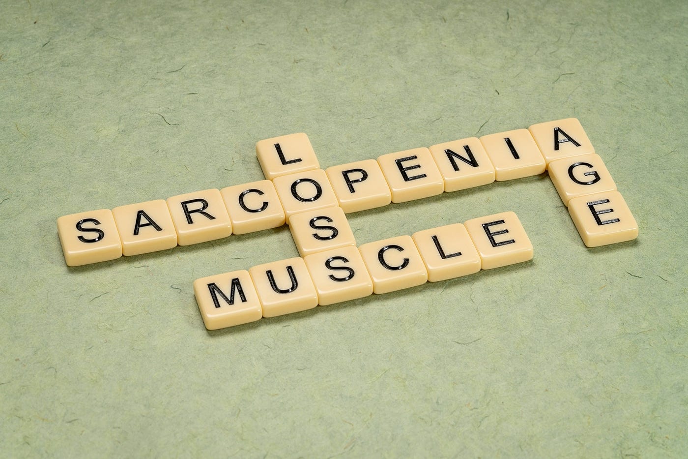 Best Ways to Avoid Muscle Loss As You Age