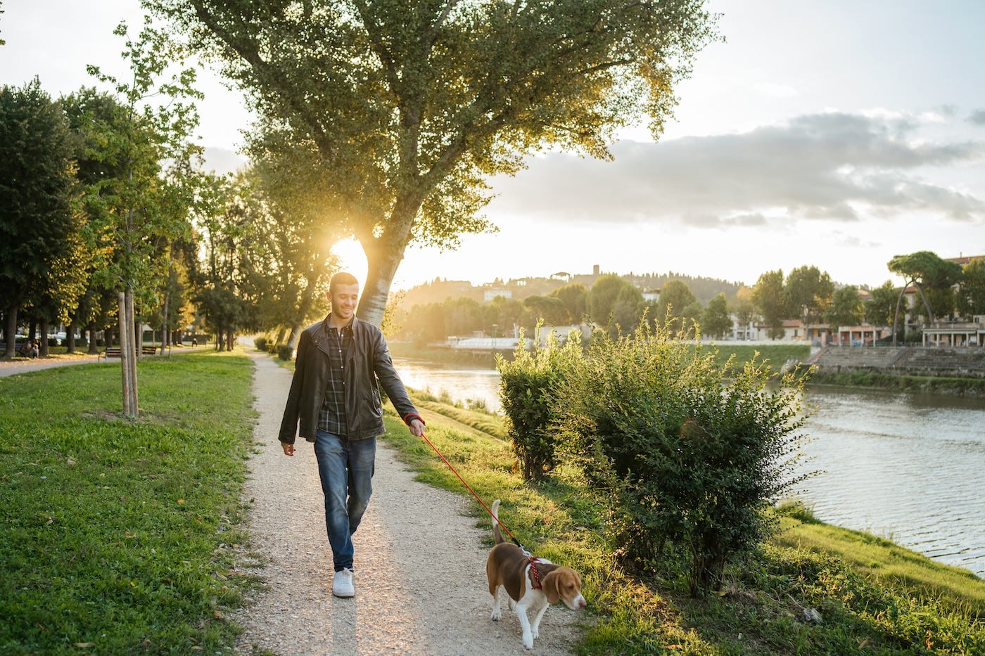 Top 5 Reasons to Add Betaine Supplements to Your Daily Regimen