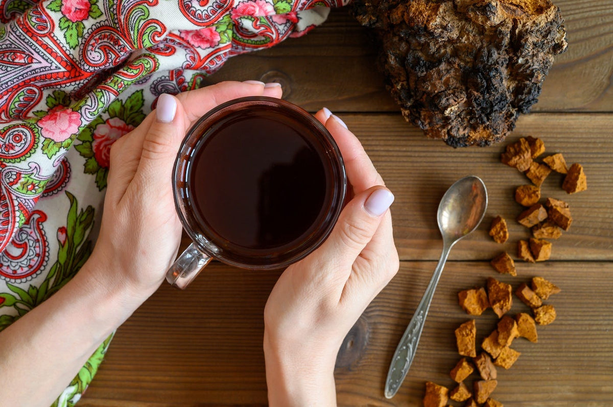 How to Make Mushroom Tea: A Guide to Immunity, Mental Clarity, and Adaptogens