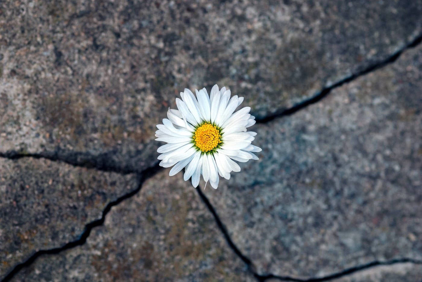 Here Are 6 of the Best Ways to Build Resilience