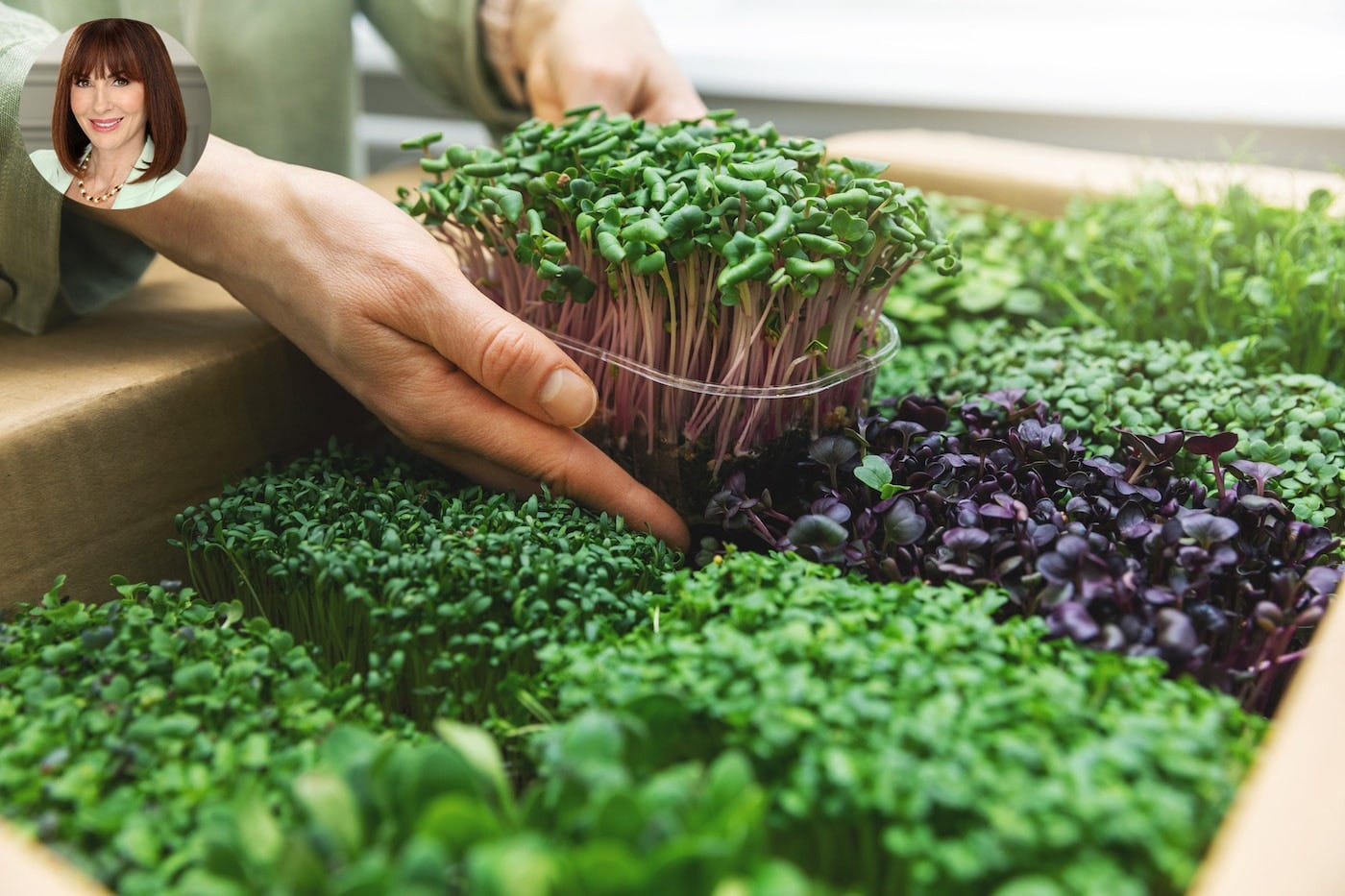 What Are Microgreens & How to Grow Your Own at Home in 1 Week!