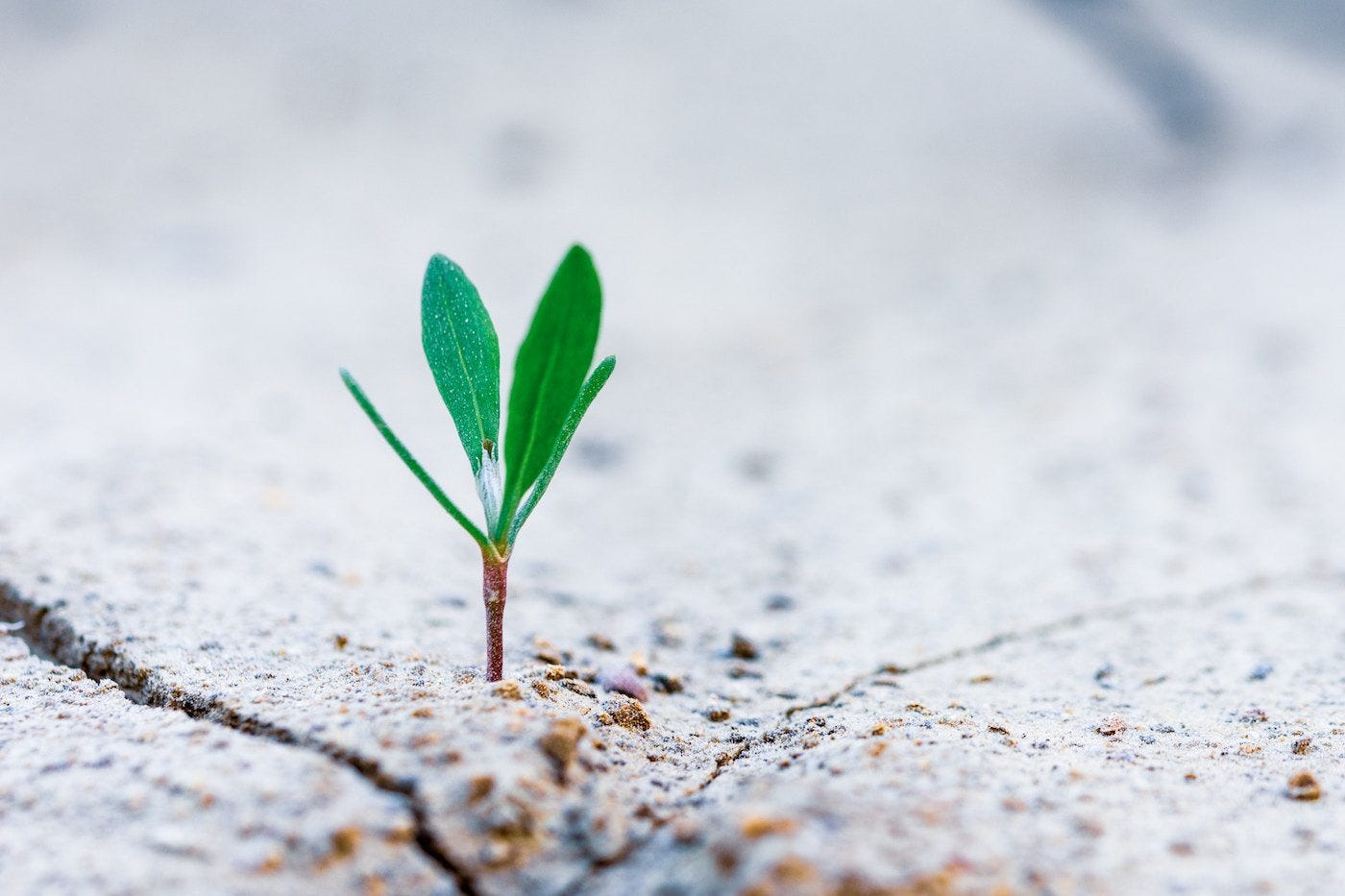 Here Are Some of the Best Ways to Repair and Renew Your Brain!