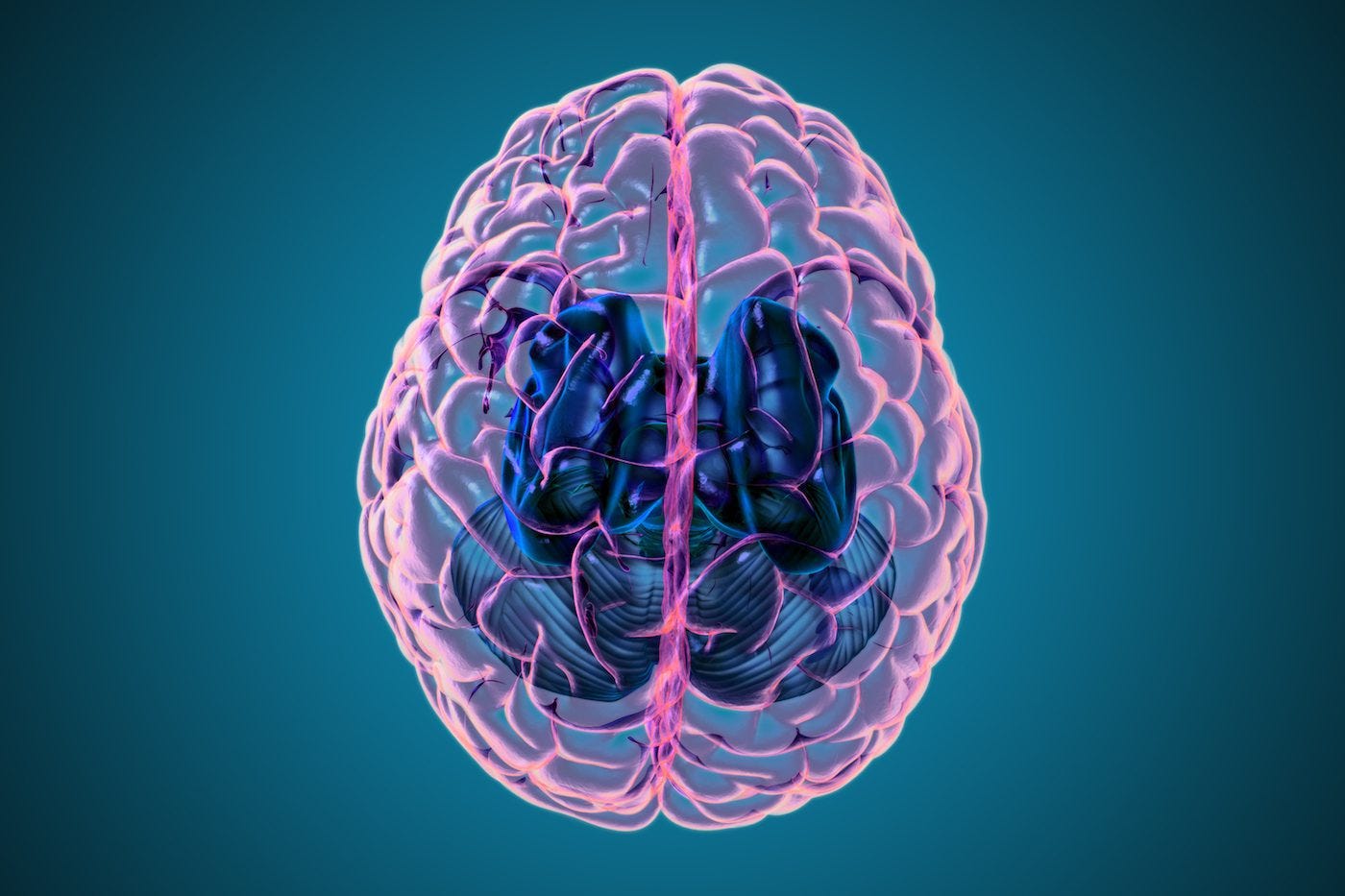 Brain Structures & Functions: What is the Hippocampus?