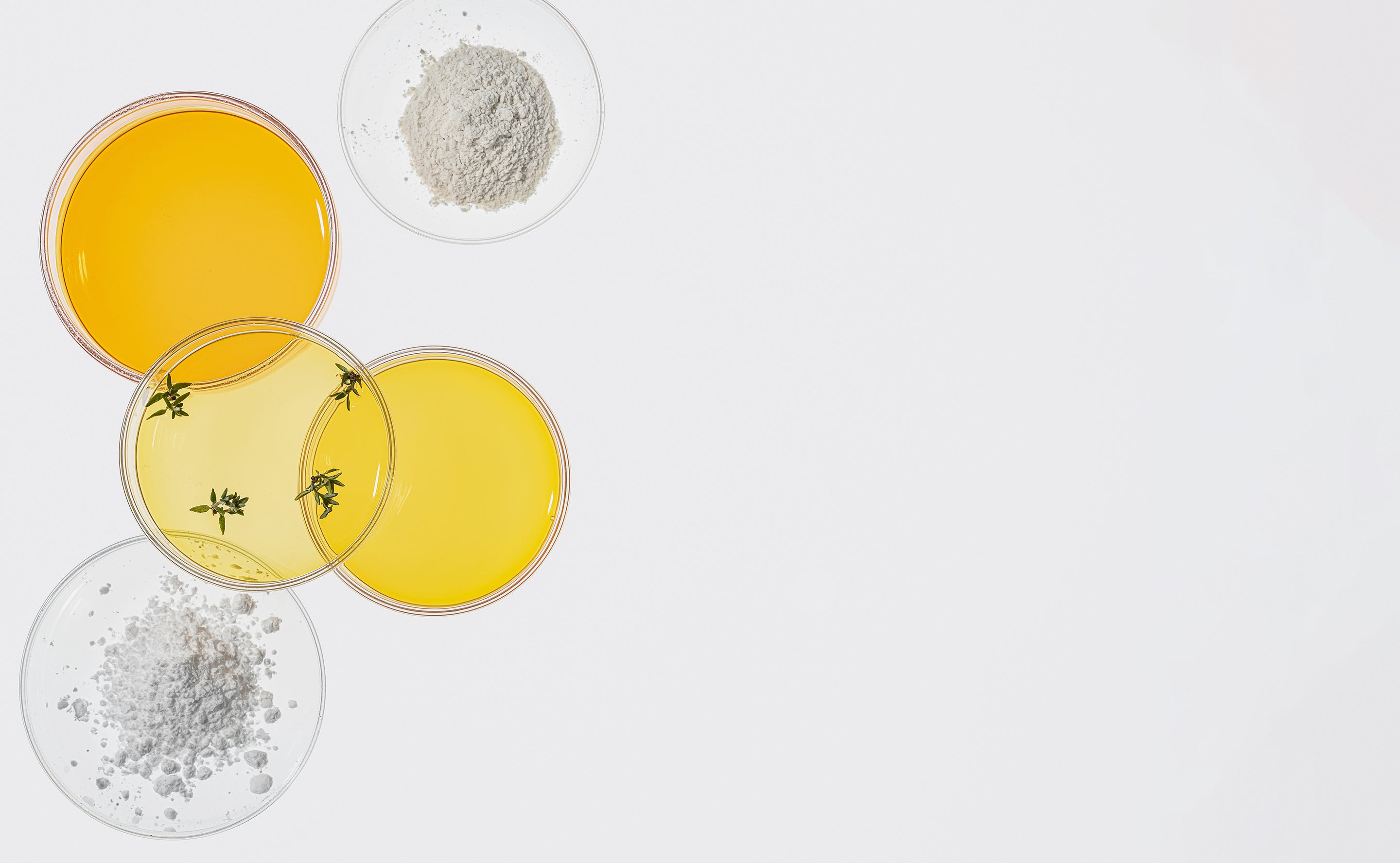 BrainMD Memory Bundle: glass slides containing white powder and yellow oil against a white background