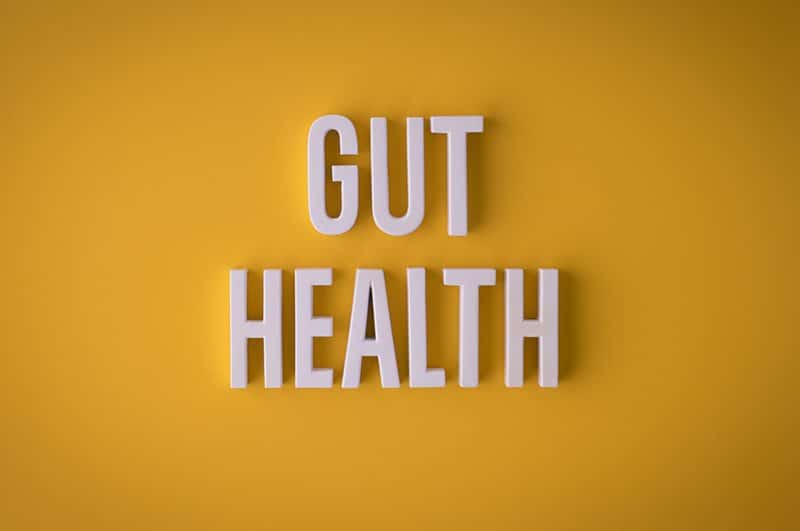 Gut Health Image