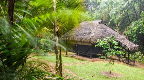 Eco Lodge Traveling Benefits for the Earth | BrainMD