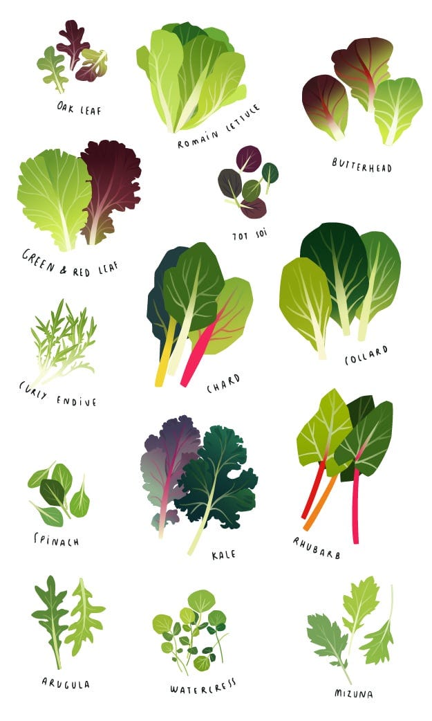 Leafy greens for brain health