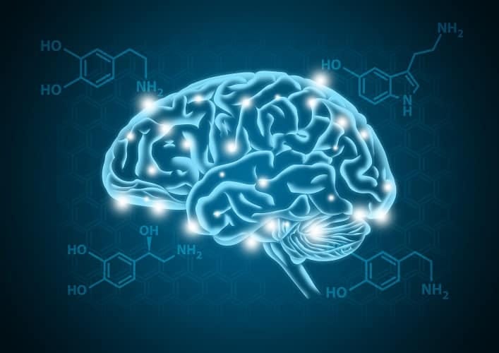 Serotonin Functions 2