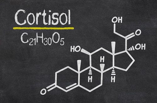 Stress Hormone Cortisol 2