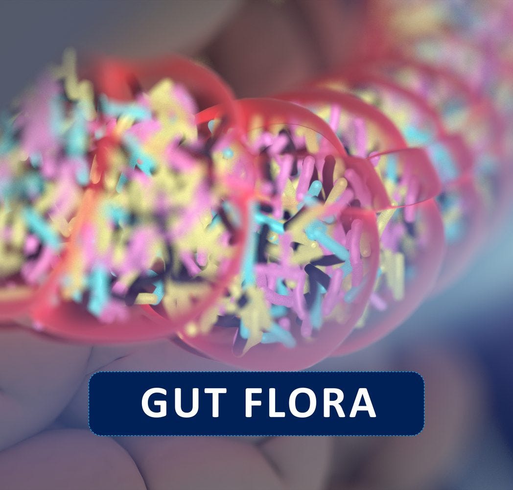 Improve Gut Microbiome and Good Bacteria | BrainMD