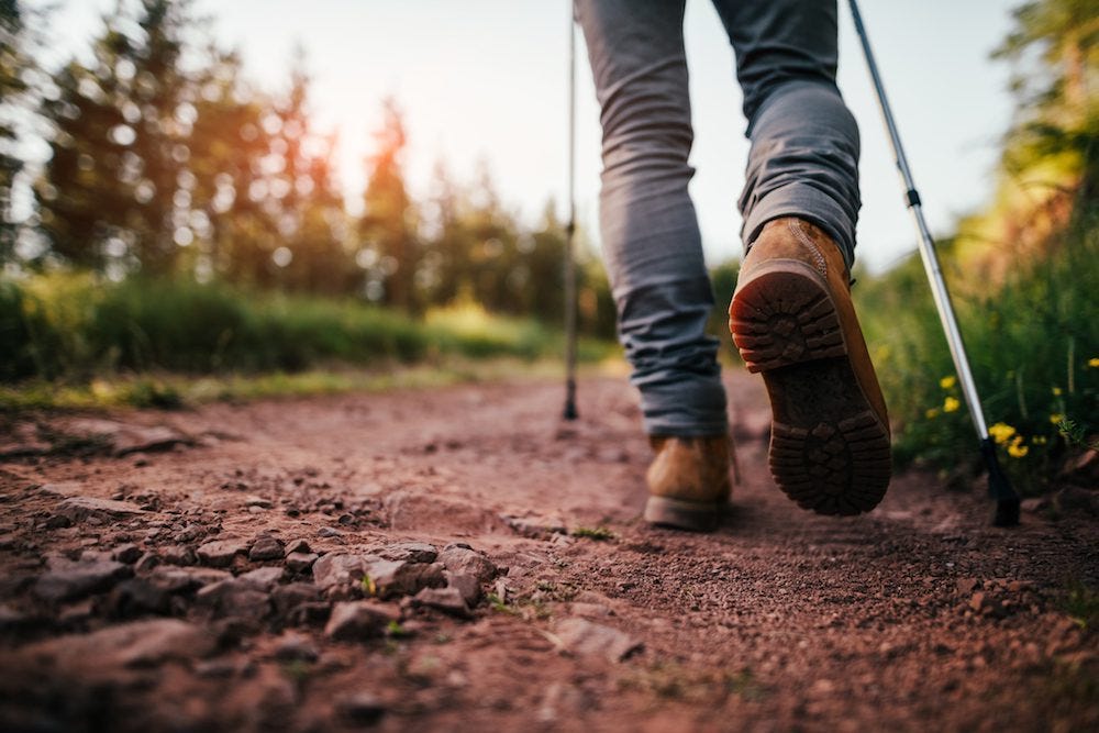 How to Stay Safe While Hiking | Hiking Tips for Beginners