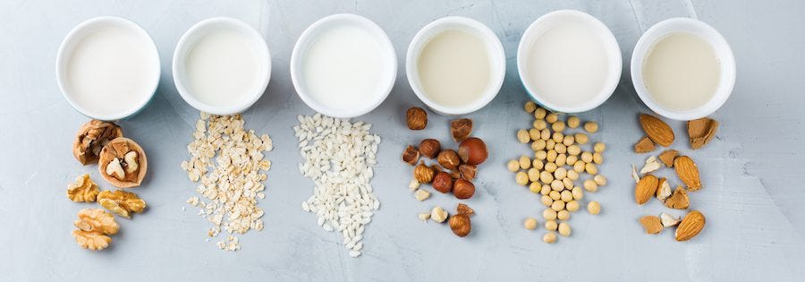 Types of Plant-Based Milks to Try | BrainMD