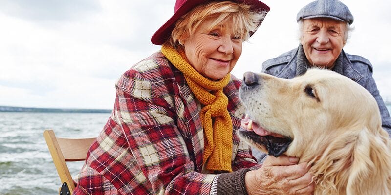 Why Pets are Good For Your Health