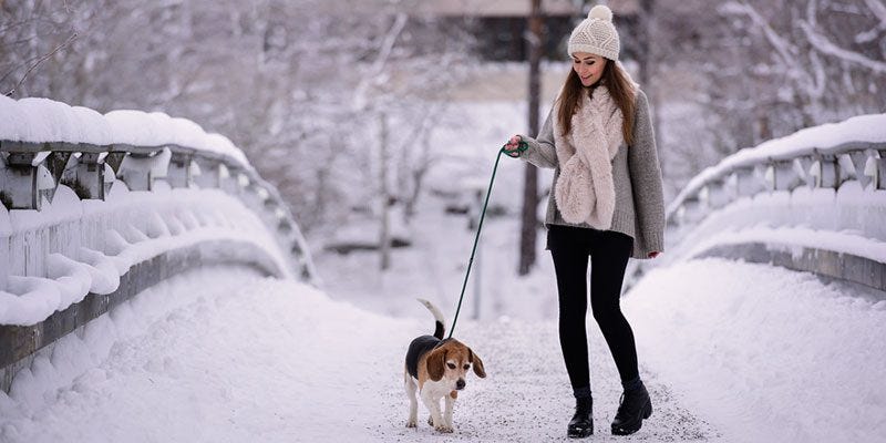 Learn How to Stress Less During the Holidays