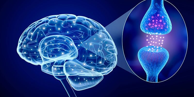 How to Love Your Brain