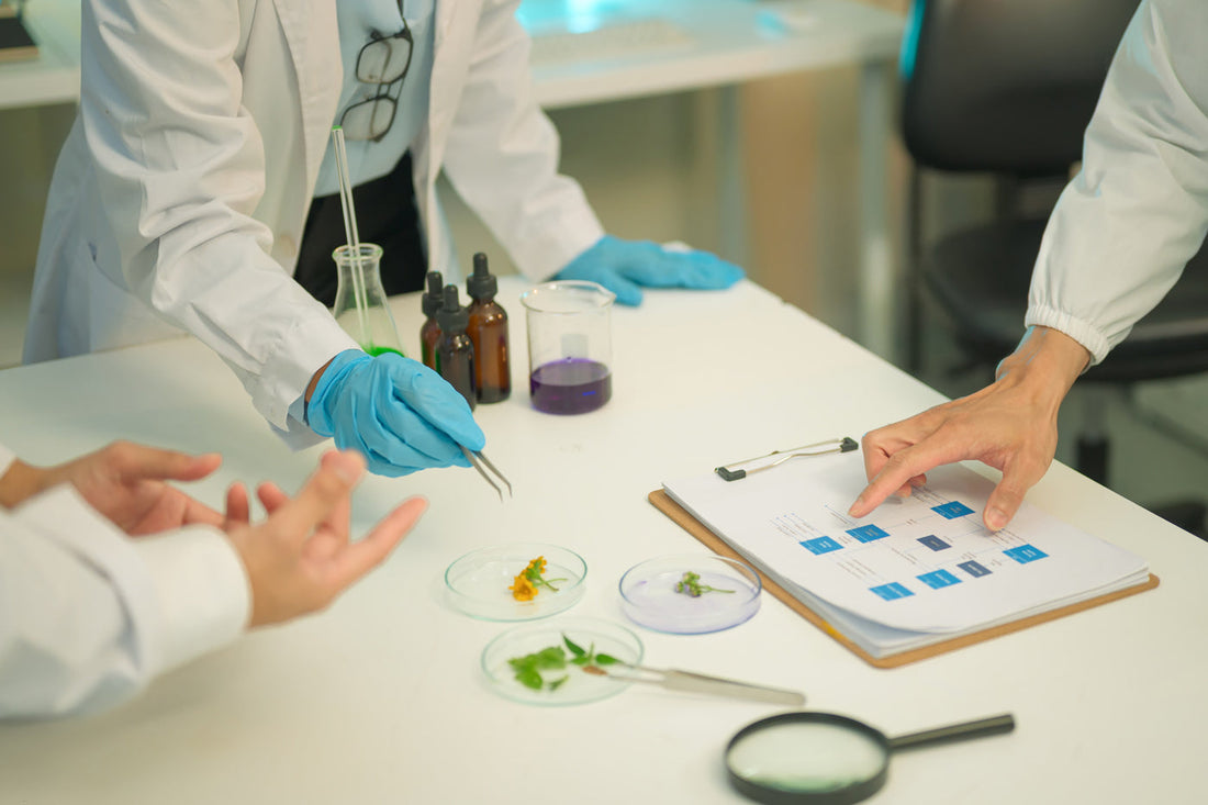 laboratory scene of third party testing