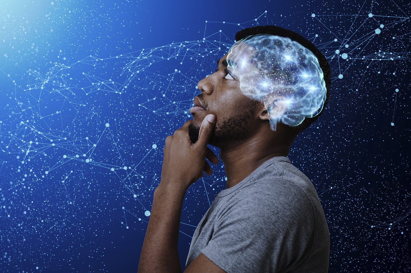 Anatomy of the Brain: How Well Do You Know Your Own Brain?