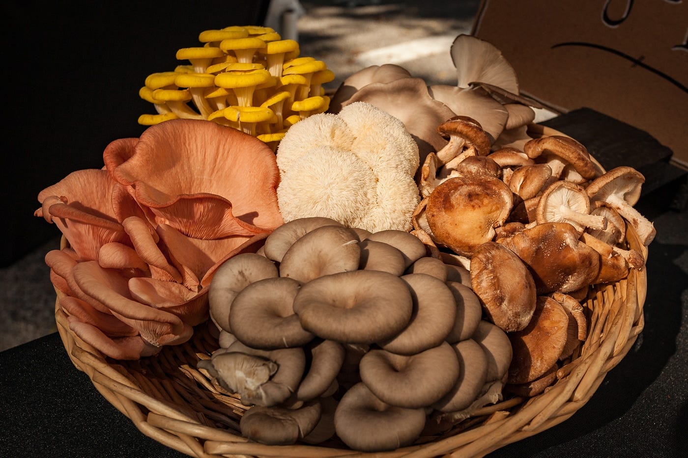 What Are the Best Benefits of Lion’s Mane Mushrooms?
