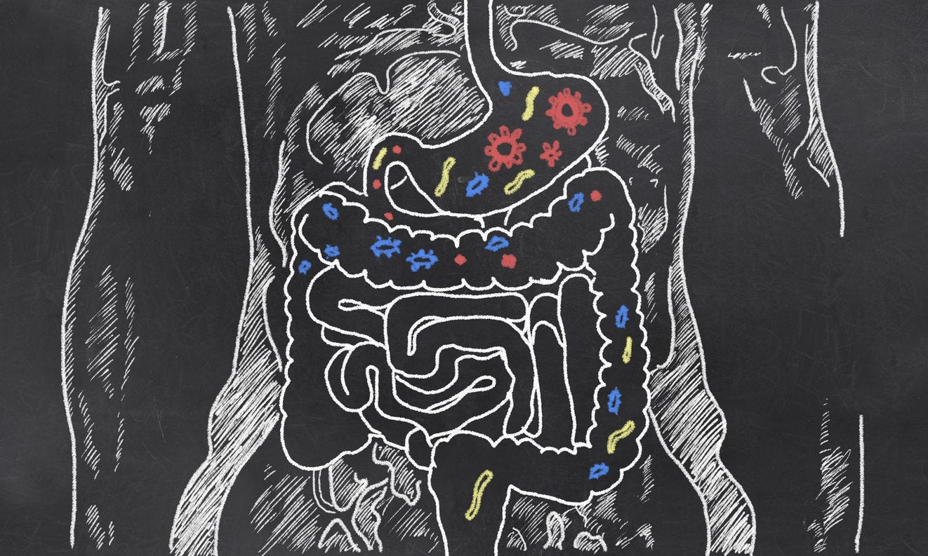 10 Things About Probiotics For Gut and Brain Health