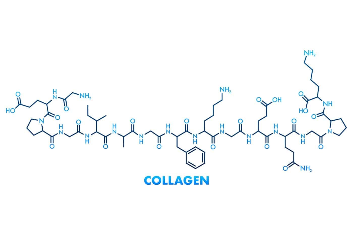 Collagen Amino Acids: How They Can Help Brain Health