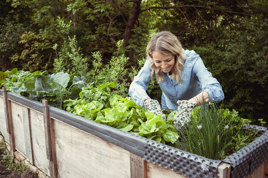 Foodscaping: How to Grow Healthy Foods In Your Own Garden!
