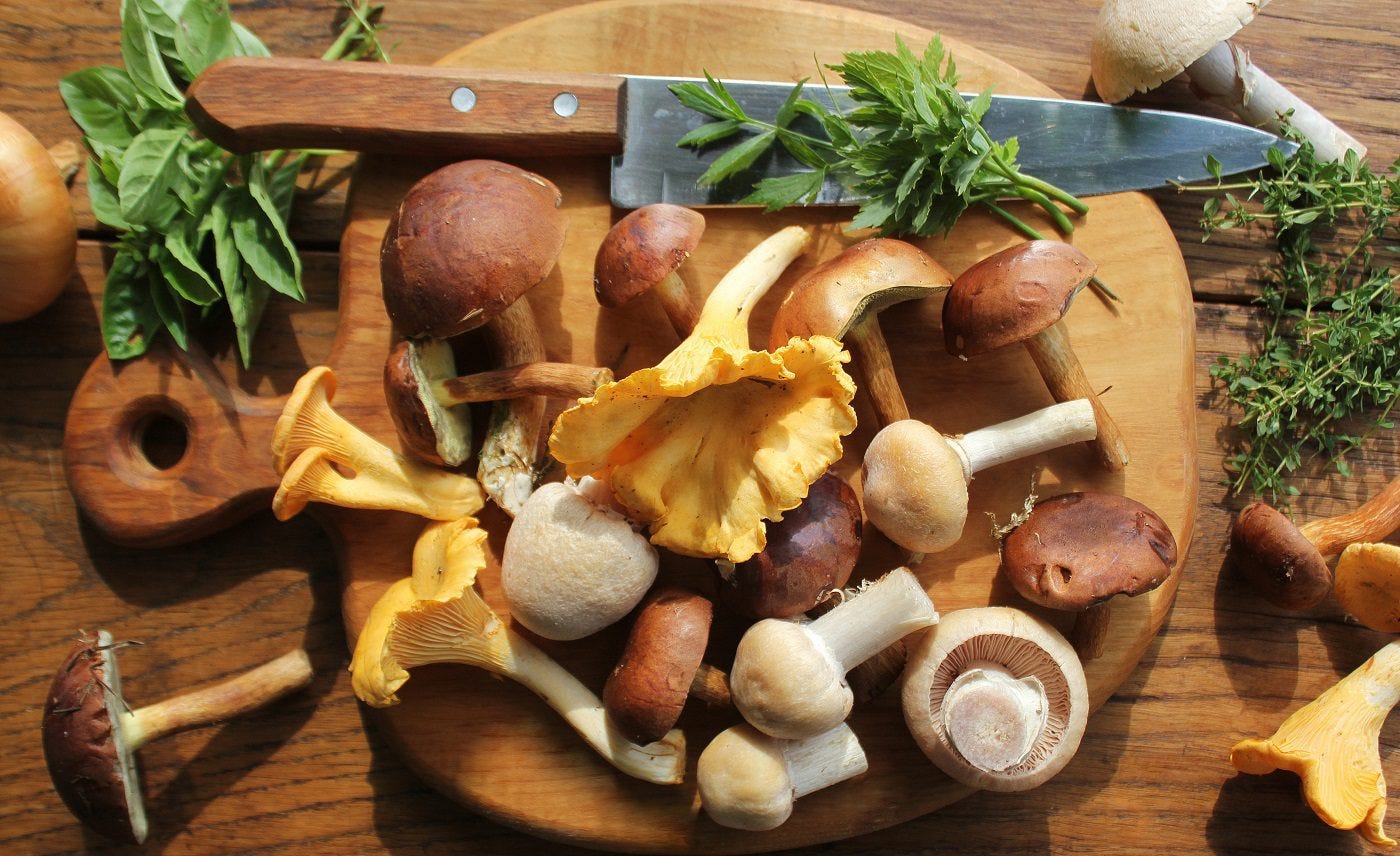 Here Are Some of the Best Health Benefits of Mushrooms