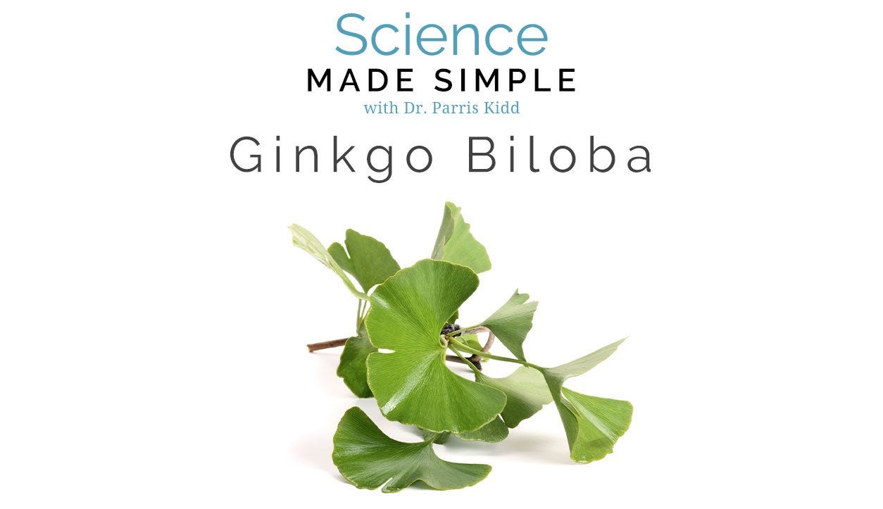 How Can Ginkgo Biloba Promote a Better Memory?