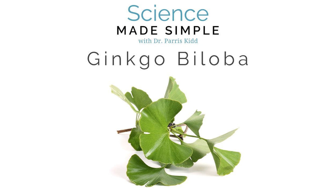 How Can Ginkgo Biloba Promote a Better Memory?