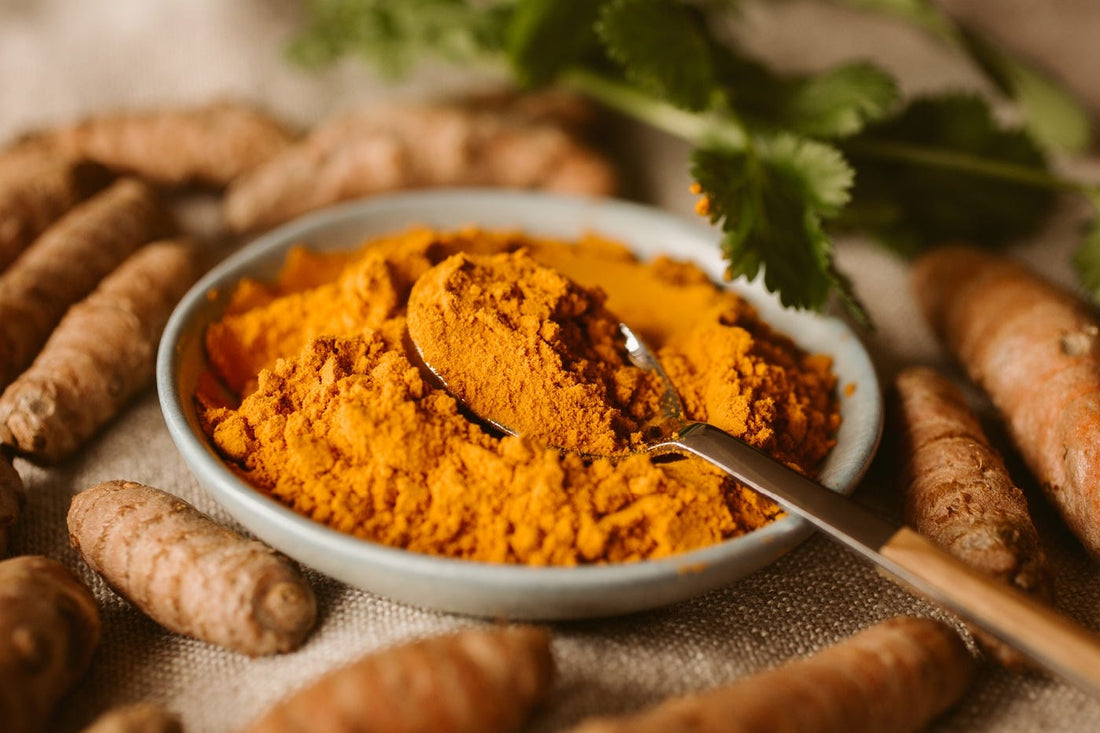 Here Are Some of the Best Reasons You Should Take Turmeric for Memory