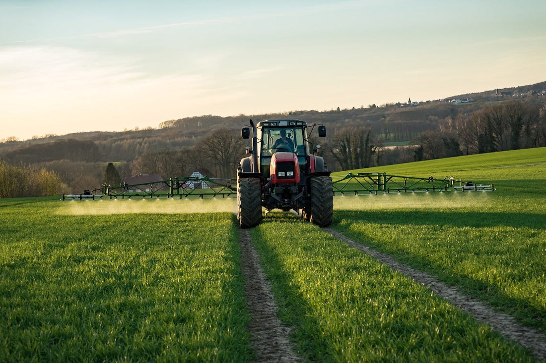 What is Glyphosate and Is It Harmful to My Health?