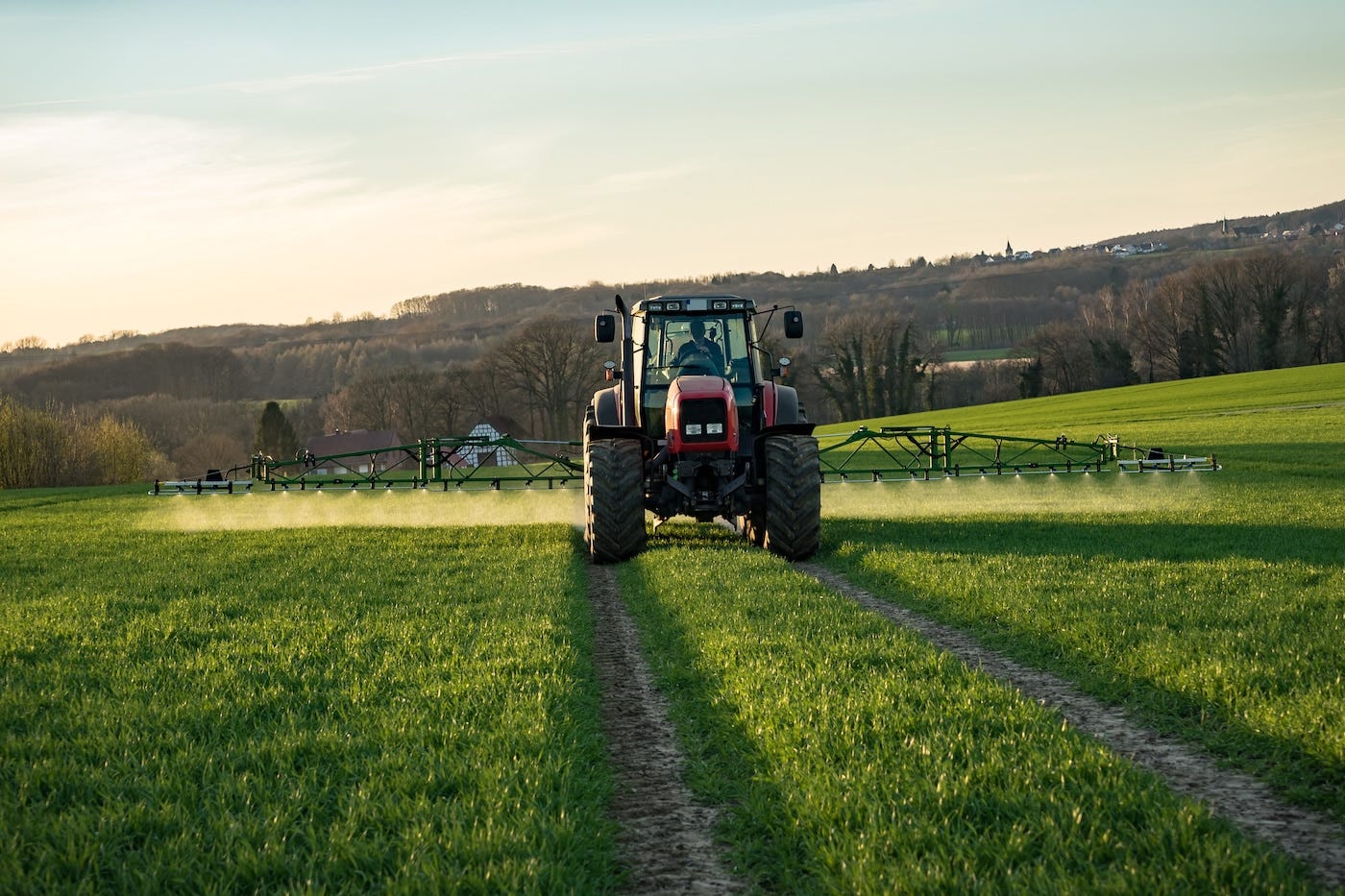 What is Glyphosate and Is It Harmful to My Health?