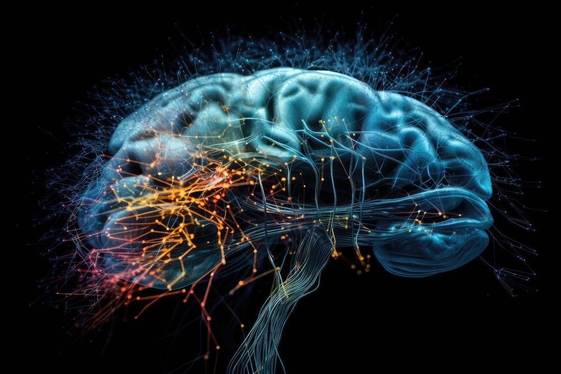 Neurogenesis: What You Need to Know to Keep Your Brain Young!