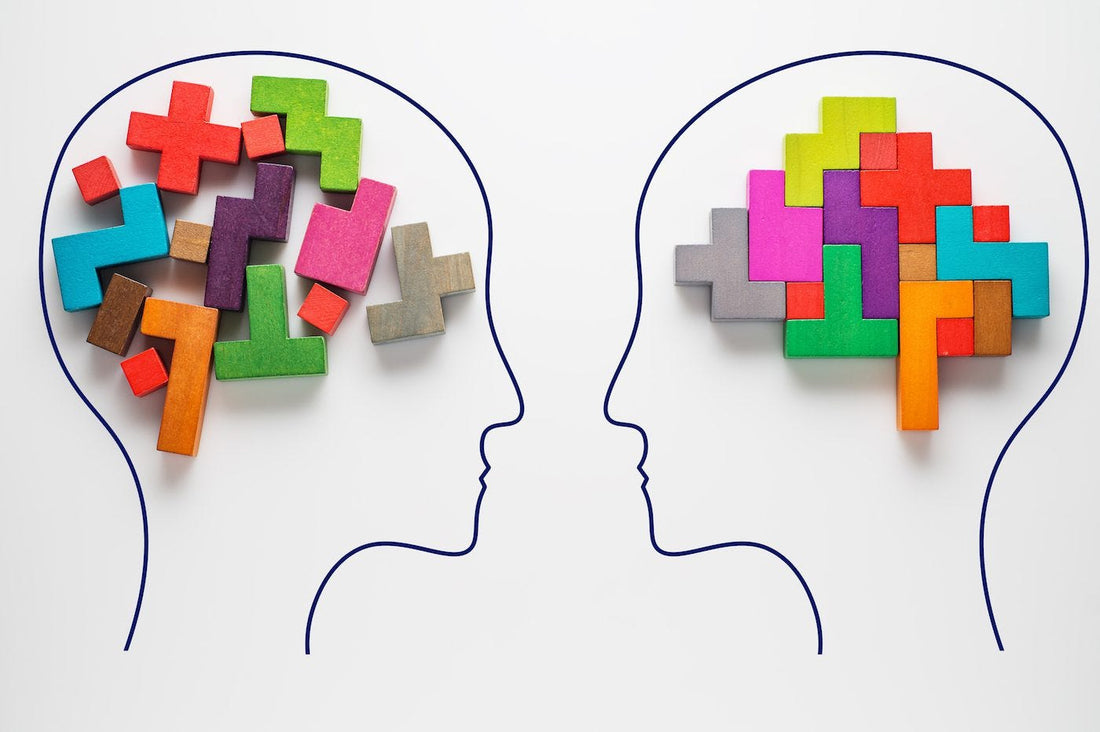 How to Know What’s Going on Inside Your Brain | Brain Scans 101