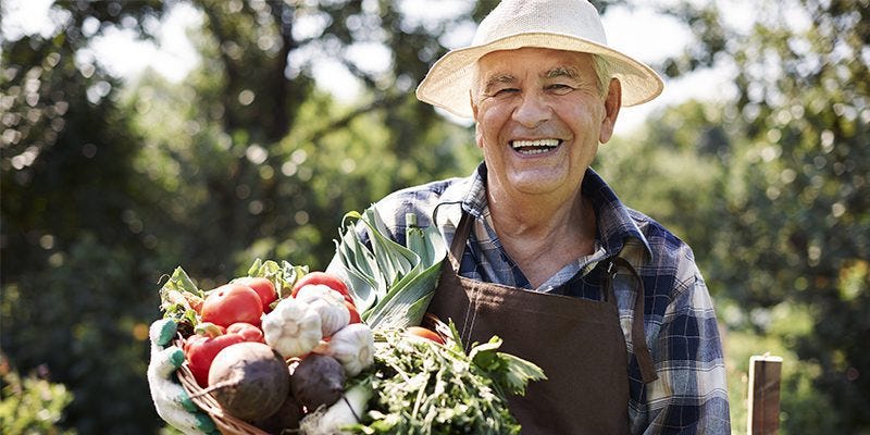 11 Foods You Need For a Bright Mind