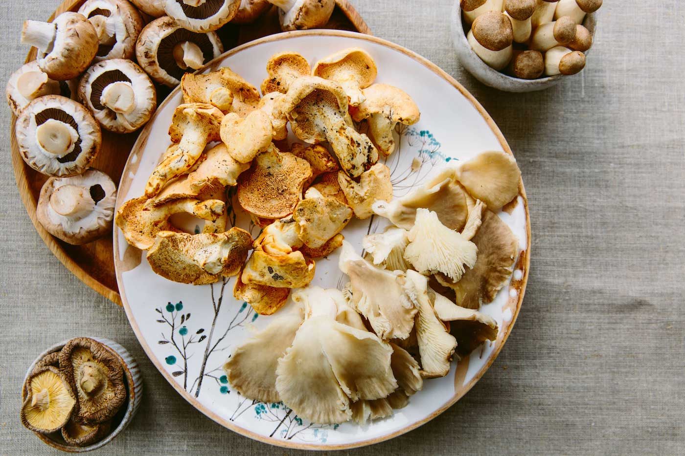 What Are Functional Mushrooms and How Can They Benefit Me?