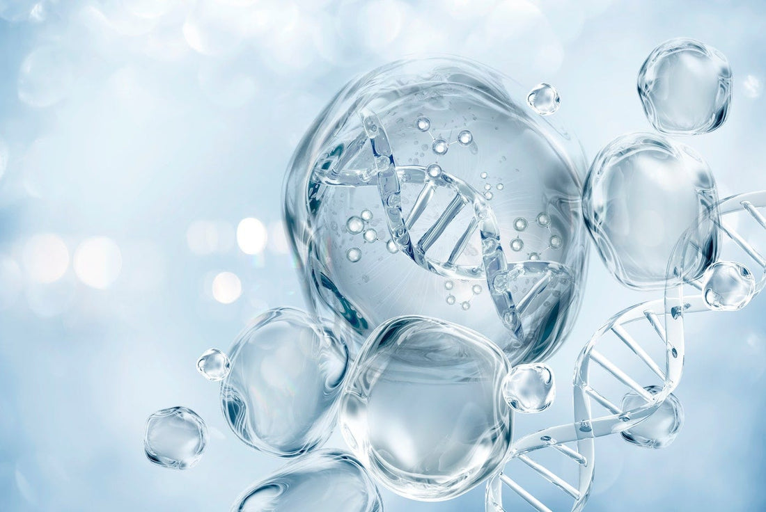 The Secret To Rewinding Your Biological Age: Glutathione, Your Master Antioxidant