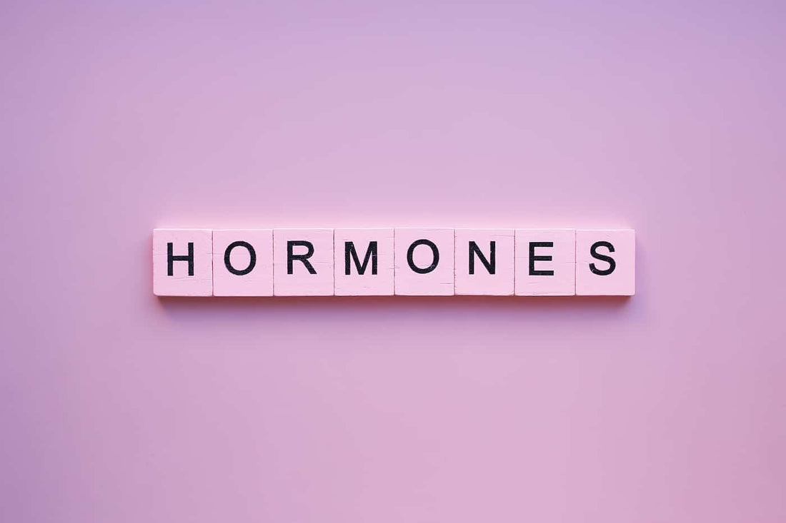 Decoding Sex Hormones: How to Balance Your Hormones Naturally