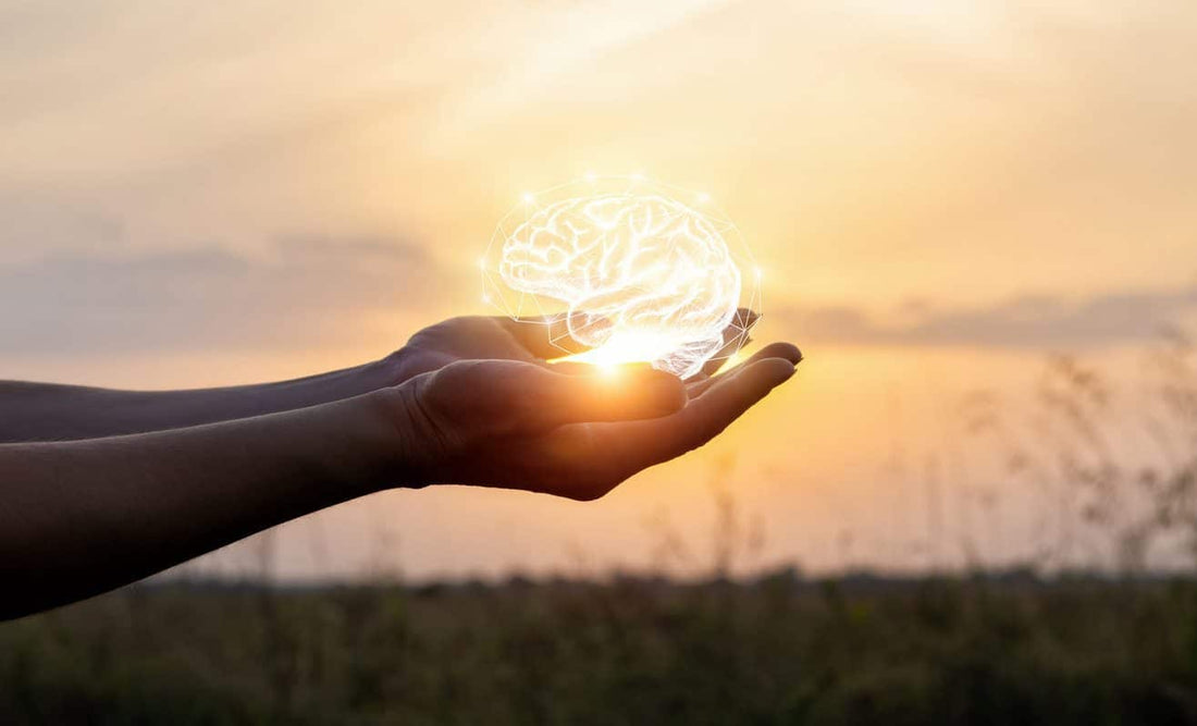 10 of the Best Ways to Protect Your Brain
