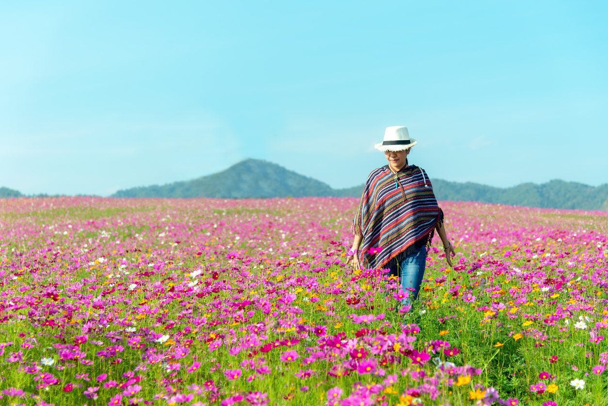 7 Quick and Easy Ways to Balance Your Life