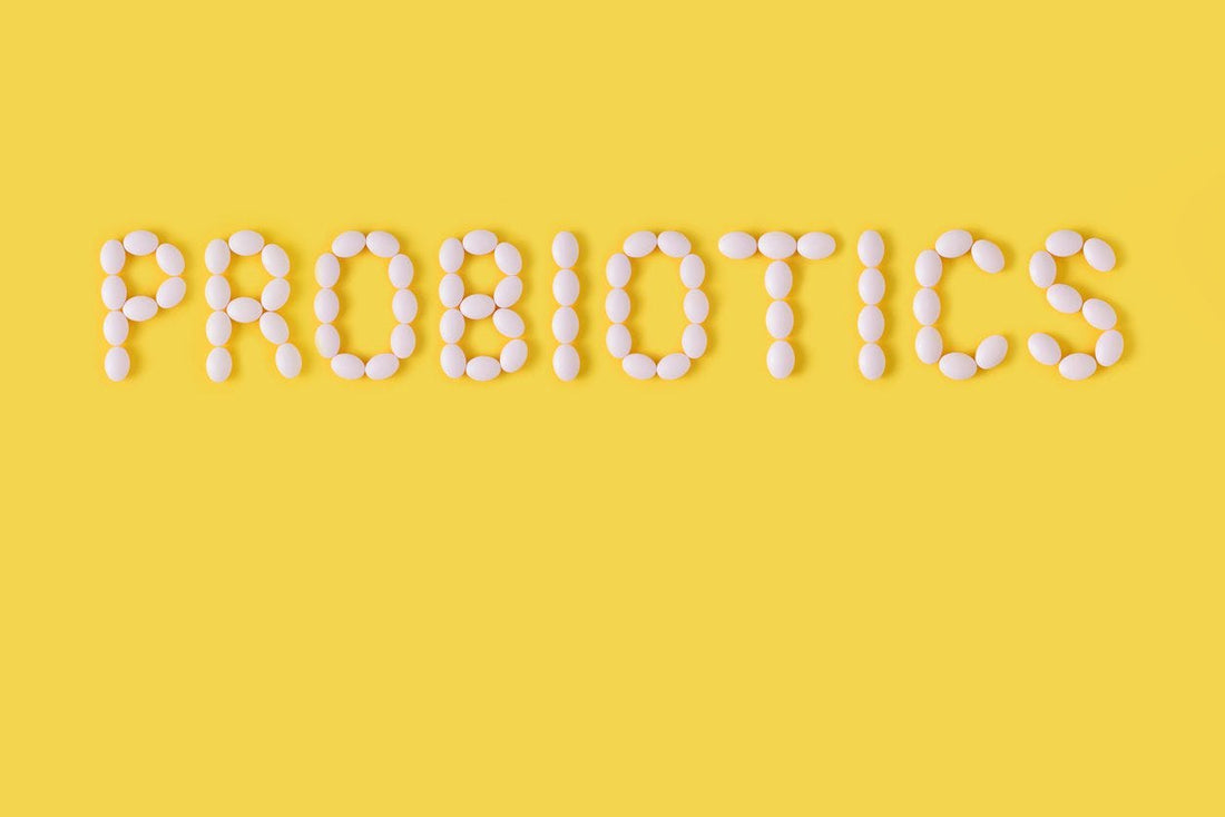 You Need to Be Taking Probiotics! Here’s Why…