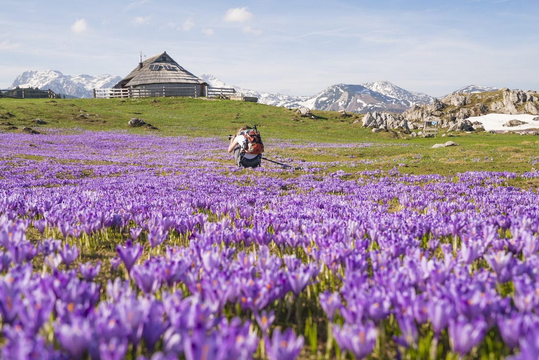 Did You Know That Saffron Can Make You Happy?