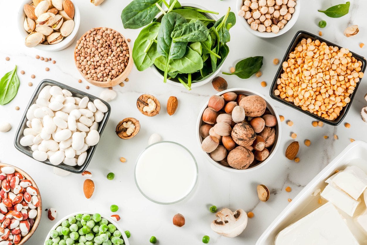 The Best Protein for a High-performance Life