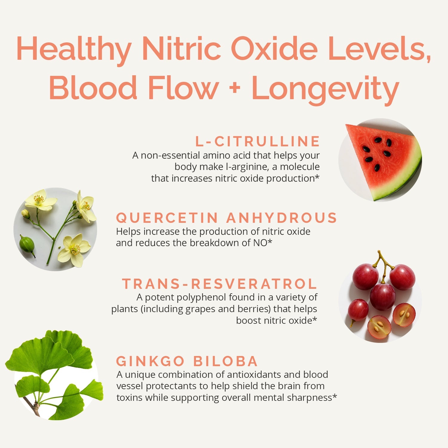 BrainMD Advanced Blood Flow: infographic, images and descriptions of the product's 4 main ingredients