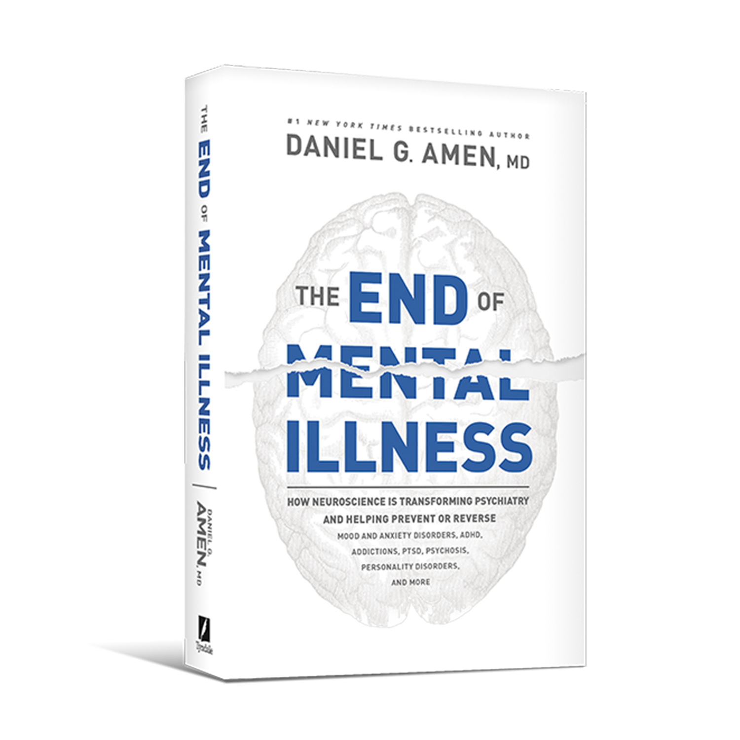 The End of Mental Illness