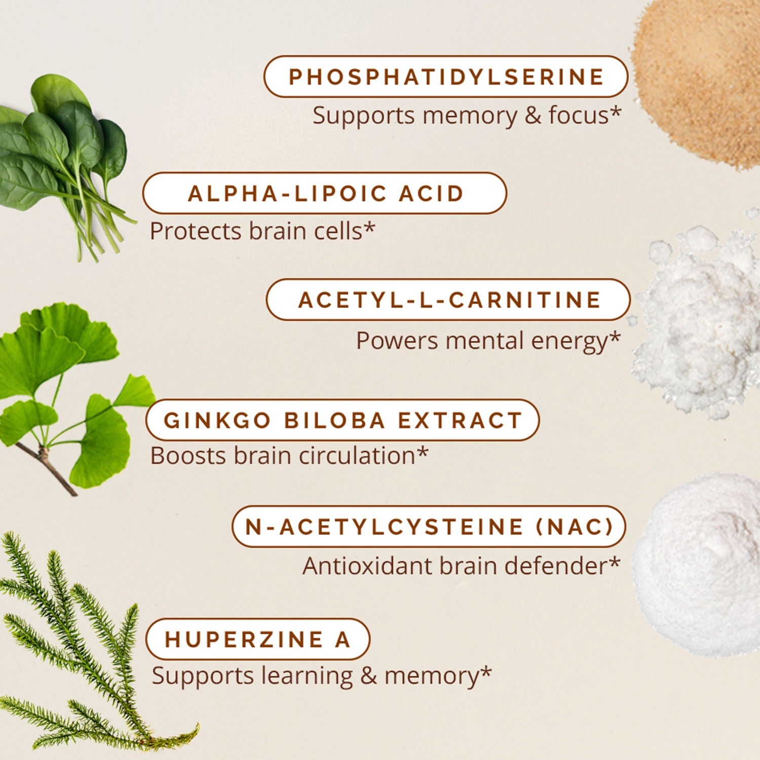 l carnitine for brain Memory Supplement | Brain Boost & Memory Nootropic | BrainMD