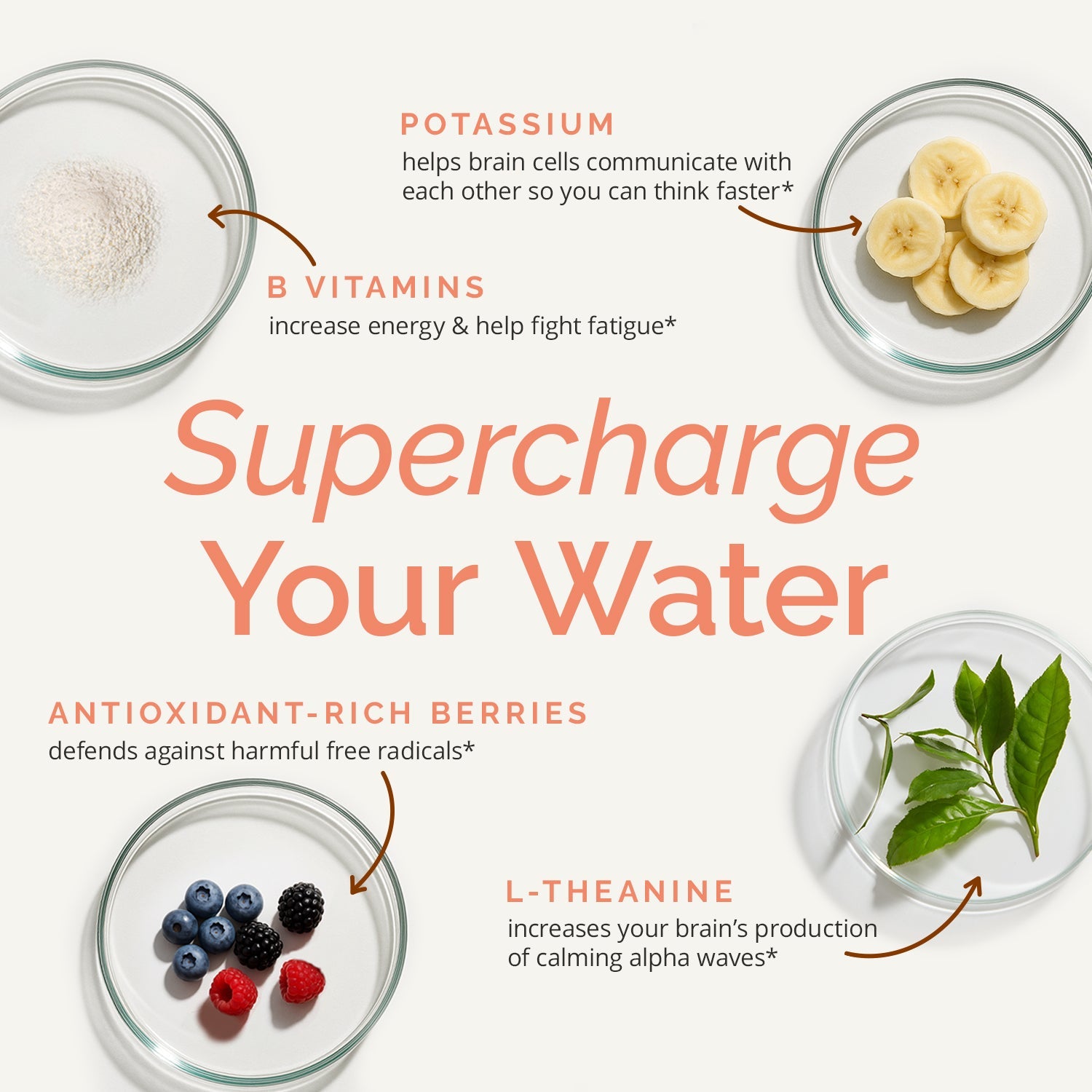 BrainMD Brain Boost On-The-Go: infographic, images & descriptions of 4 key ingredients set against a white background