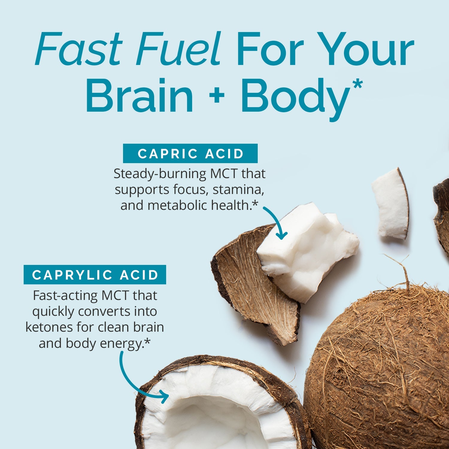 BrainMD Brain MCT Energy: infographic, image of coconut & descriptions of key ingredients set against a light blue background