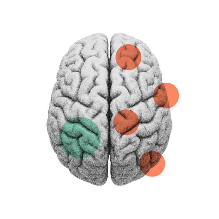 Men’s & Women’s Brain Health Supplements for Memory & Mood | BrainMD ...