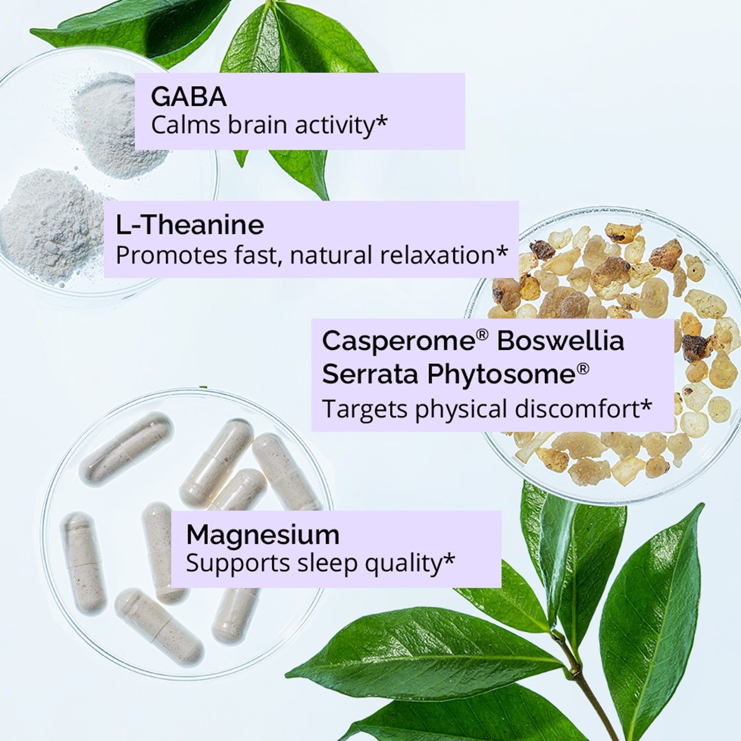 Deep Comfort Sleep | Comfort Sleep Supplement | BrainMD | BrainMD