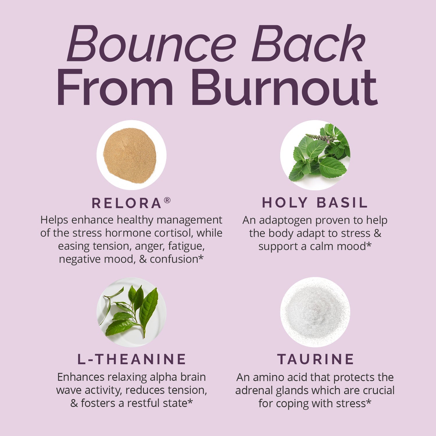 BrainMD Everyday Stress Relief: infographic, images & descriptions of 4 key ingredients set against a light purple background